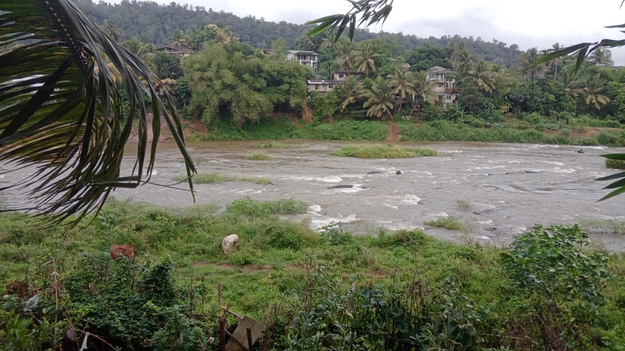 Kandy River Garden المظهر الخارجي الصورة